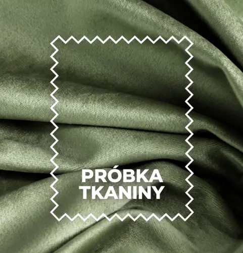 chłodna oliwka